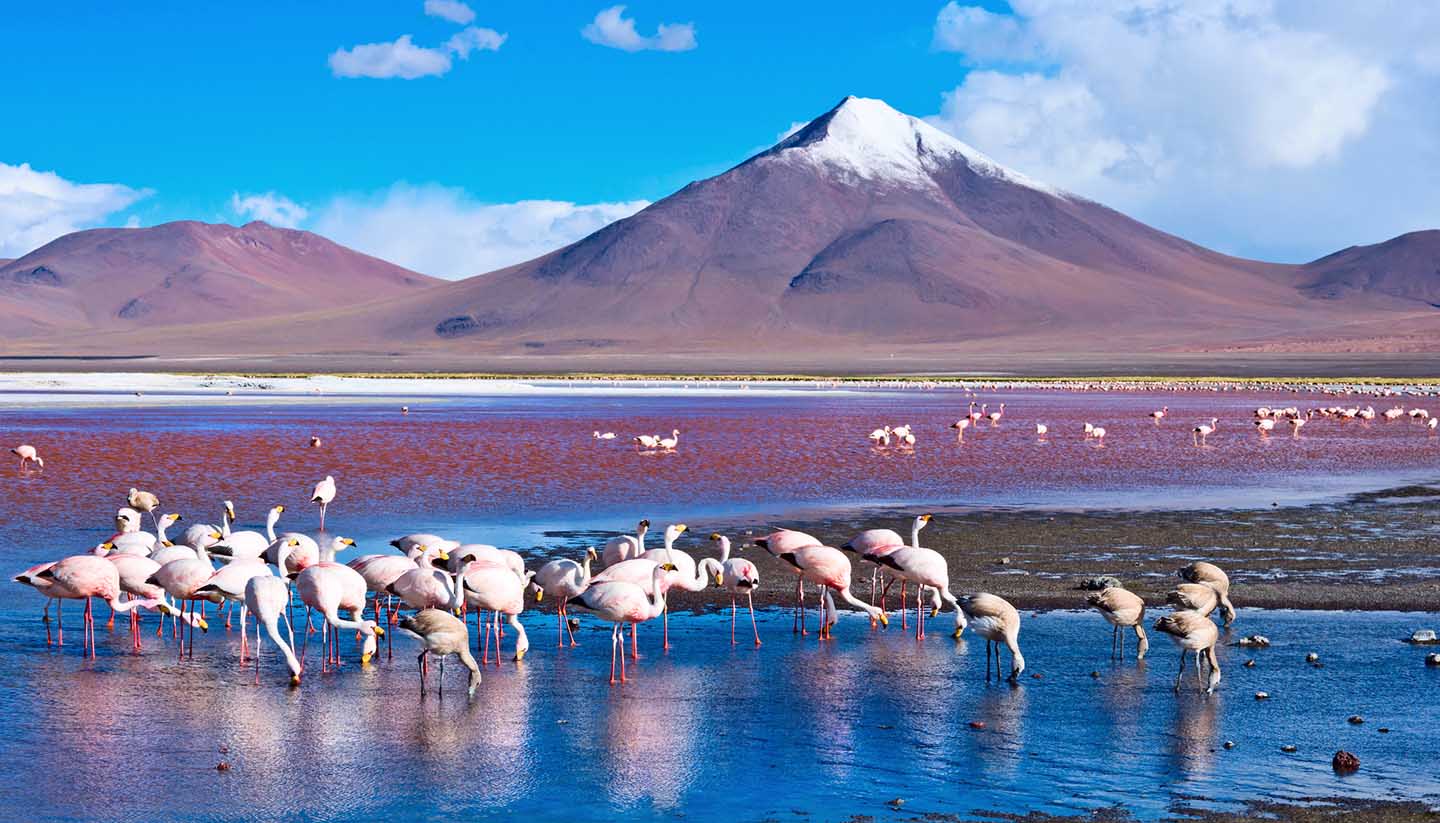 Dịch vụ làm visa Bolivia