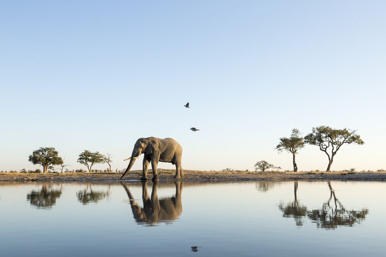 Dịch vụ làm visa Botswana
