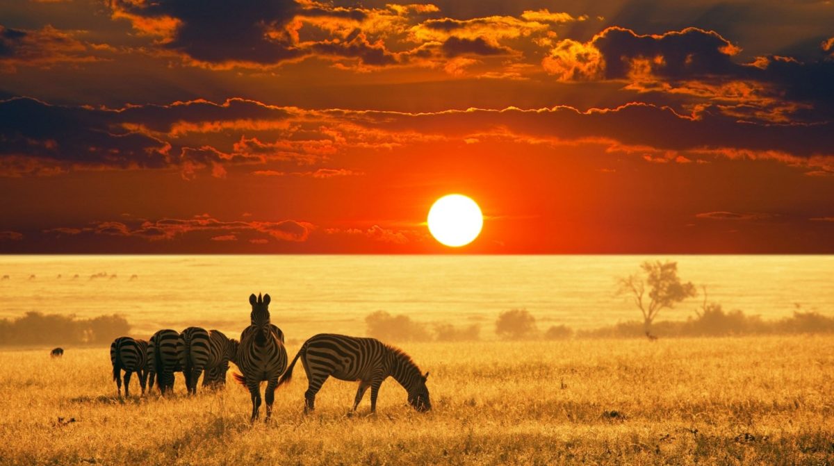 Dịch vụ làm visa Kenya
