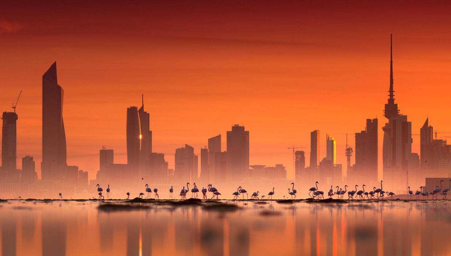 Dịch vụ làm visa Kuwait