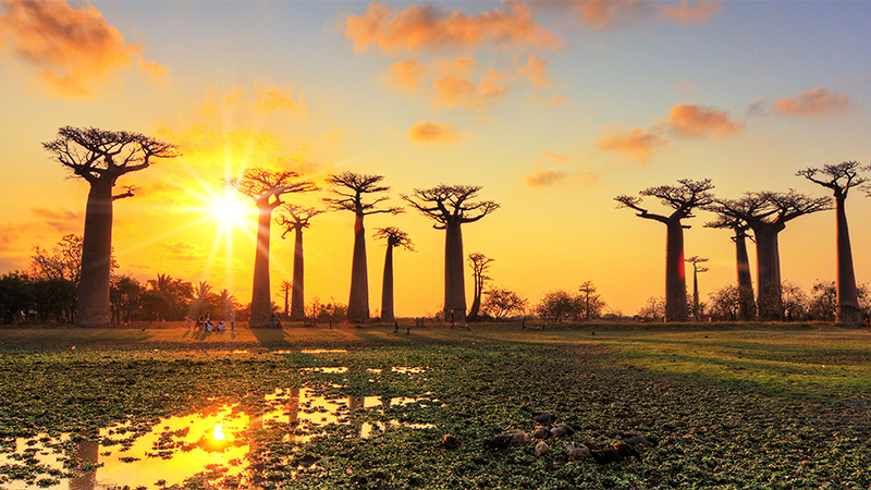 Dịch vụ làm visa Madagascar