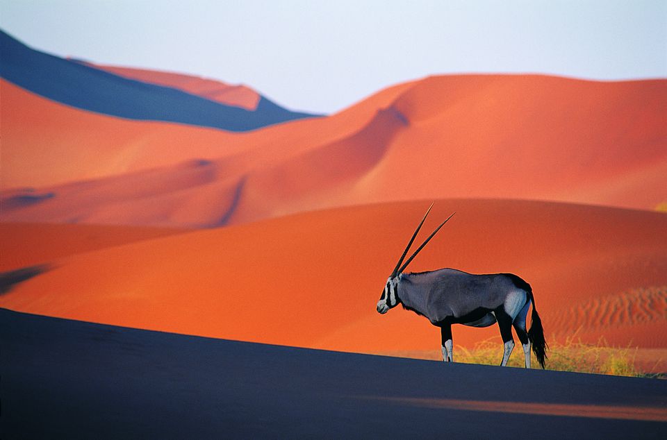 Dịch vụ làm visa Namibia