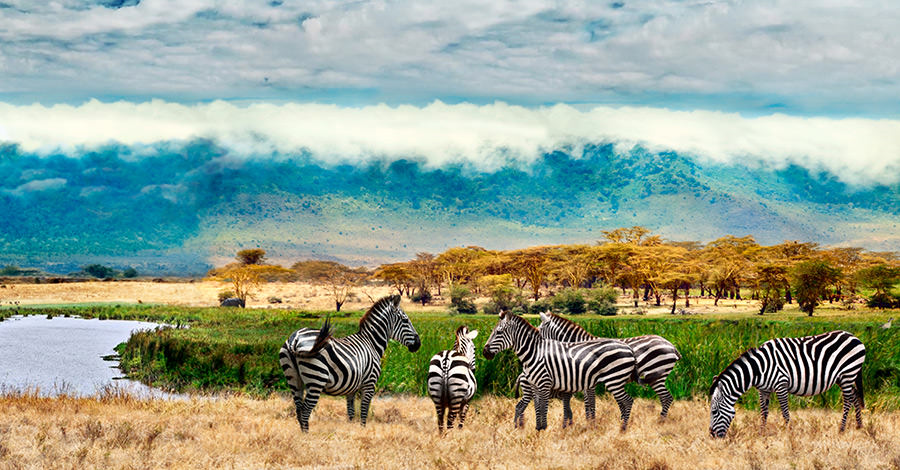 Dịch vụ làm visa Uganda